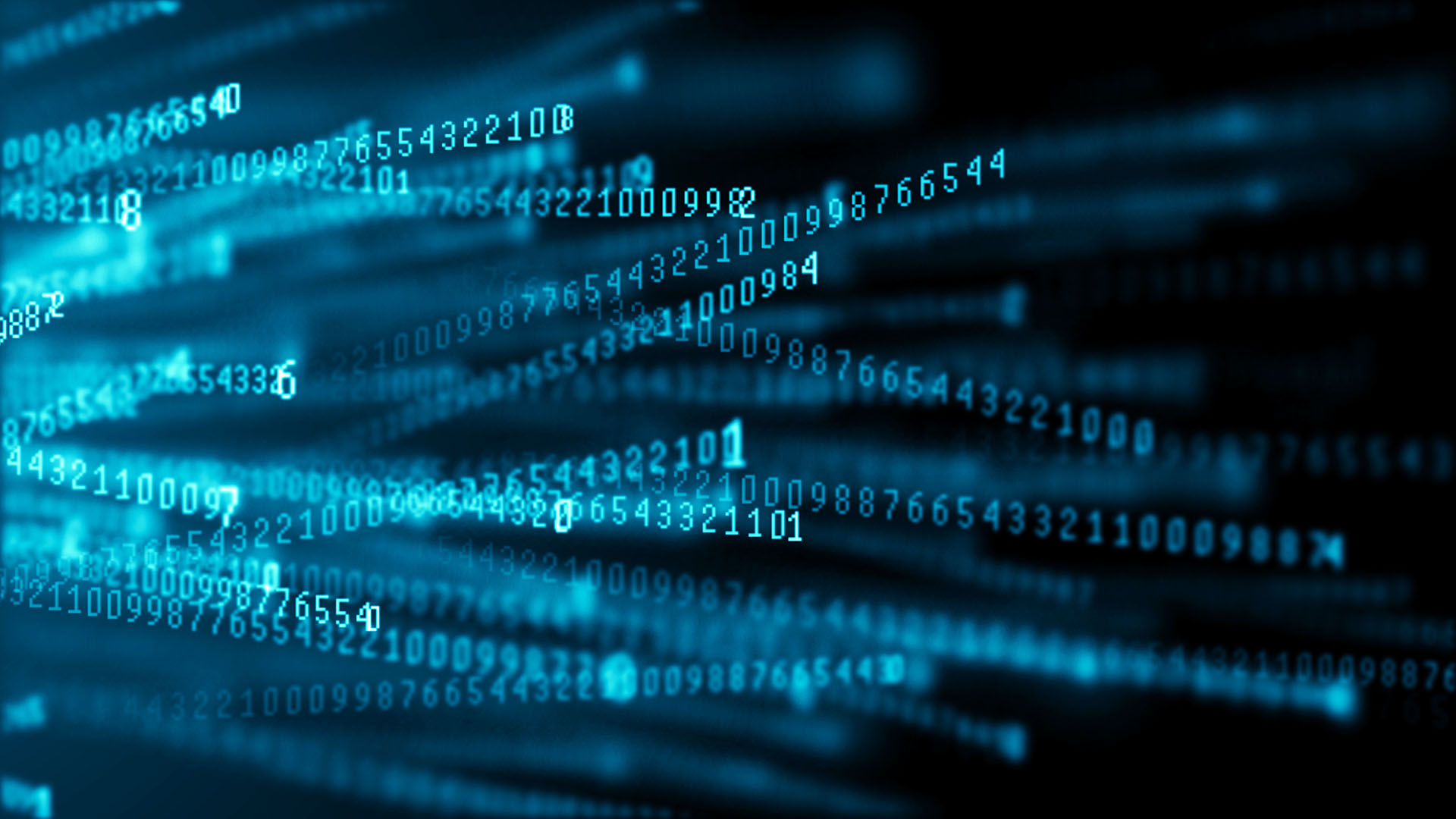 2024 Data Quality